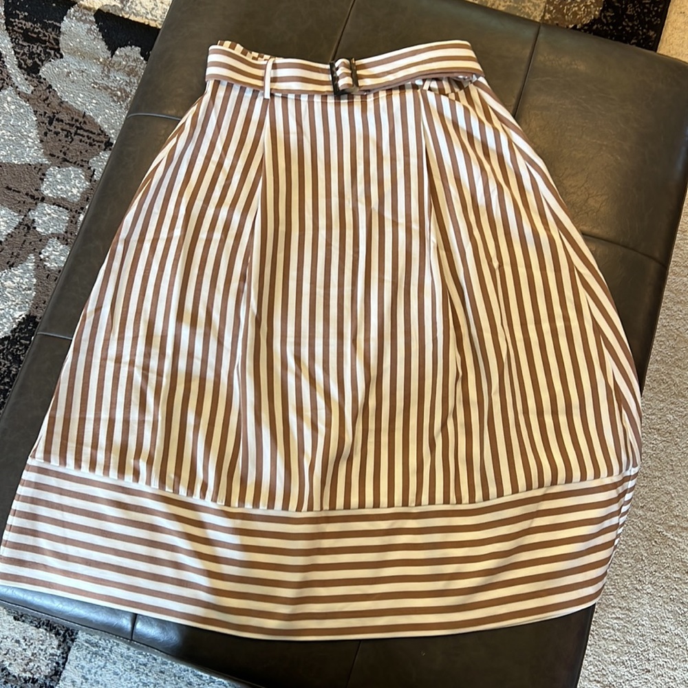 Ann Taylor NWOT Size 8 Petite MIDI Skirt
